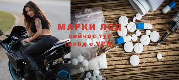 стаф Касимов
