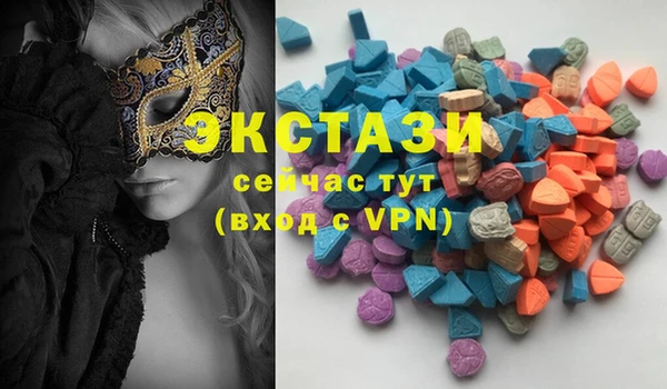 стаф Касимов