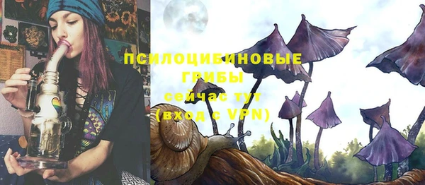 трава Каменка
