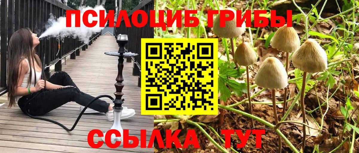 Псилоцибиновые грибы MAGIC MUSHROOMS Псков