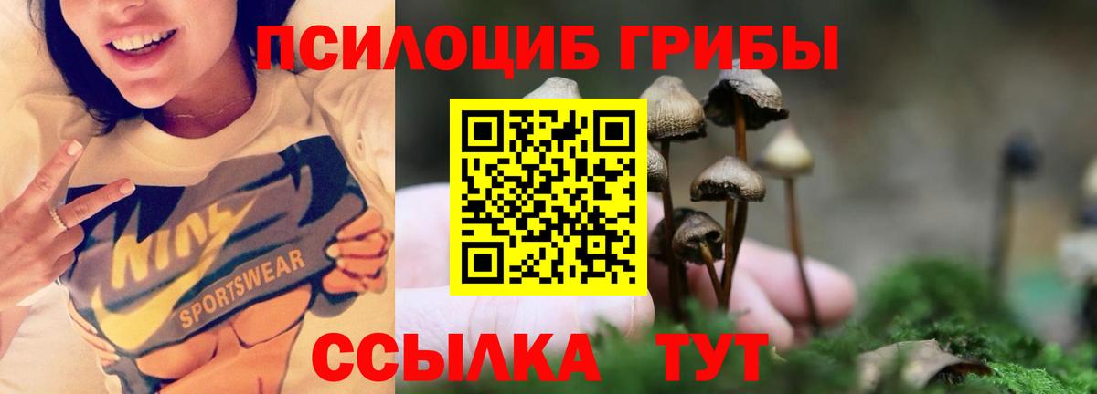 Псков  Псилоцибиновые грибы MAGIC MUSHROOMS  Галлюциногенные грибы Psilocybine cubensis  Вход с VPN 